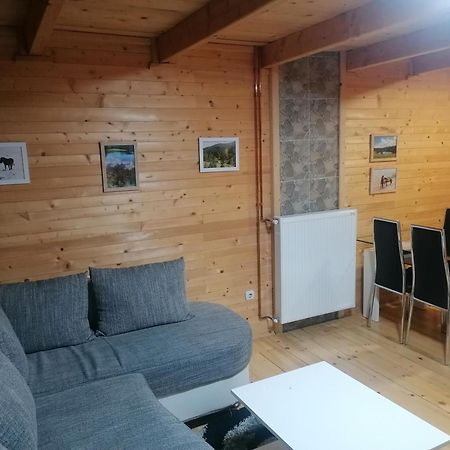 Zlatibor Brvnara Mir Villa Bagian luar foto