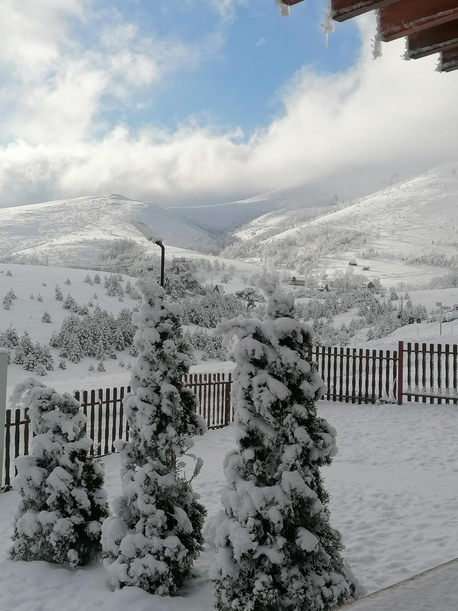 Zlatibor Brvnara Mir Villa Bagian luar foto