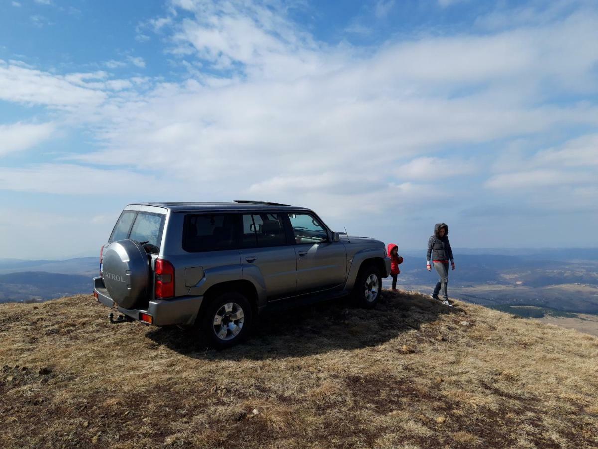 Zlatibor Brvnara Mir Villa Bagian luar foto